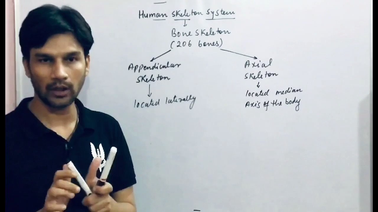 Human Skeleton System : Part-1 for NEET 11th(Locomotion & Movement chapter-20)SSC Railway PSC GS
