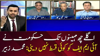 Govt will not pay any installment to the IMF for the next six months: Mohammad Zubair