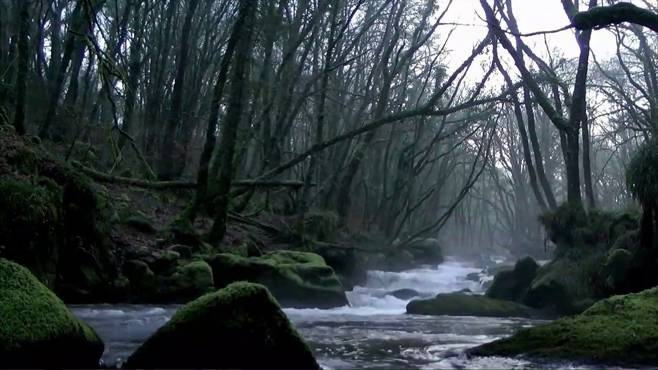 Ghost Caught in River