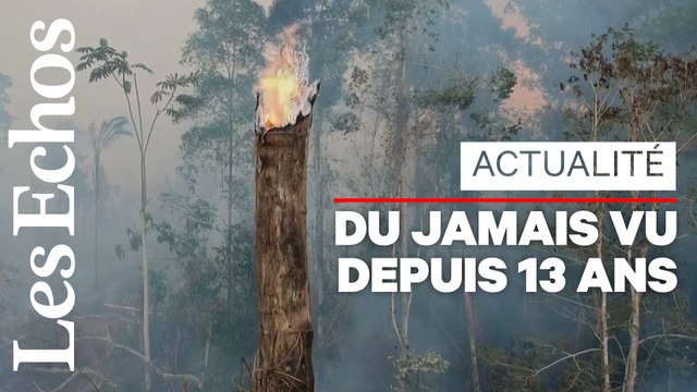 Brésil : l'Amazonie de nouveau sous la menace des incendies