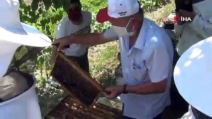 Arıların içine girdiler, eğitimi hem teorik hem pratik yaptılar