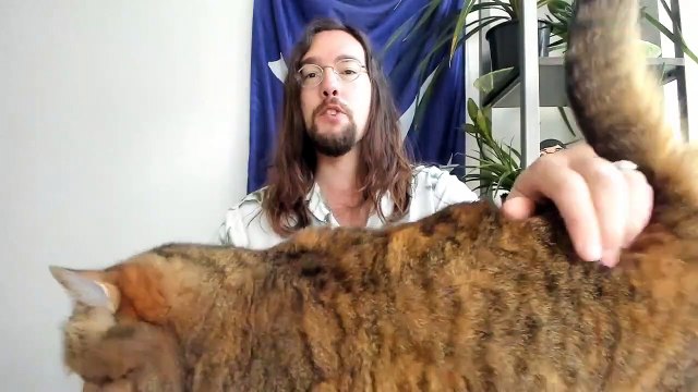 Violent BLM and Antifa Thugs Burn Elk Statue in Portland For Well, No Reason