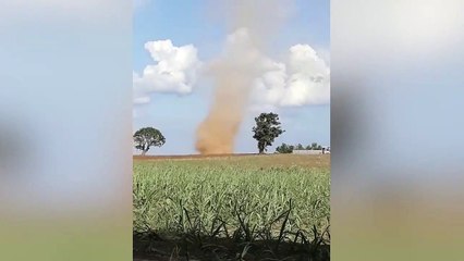 Huge Tornados Sweeps Through Fields