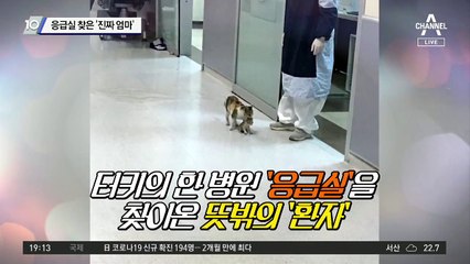 응급실 찾은 '진짜 엄마'