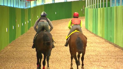 국내 첫 경주마 실내훈련장 완공...전북 장수목장 / YTN