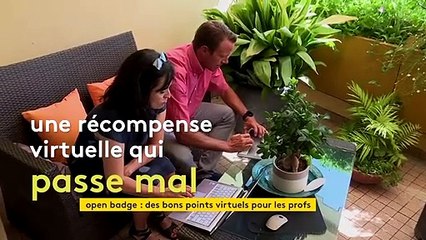 "On a pas 14 ans !" : la distribution de badges virtuels aux enseignants suscite de vives réactions