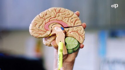 01 CURA PARKINSON - RRSS