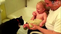 Cute Funny Babies Laughing | believe you fall fall down of laughing