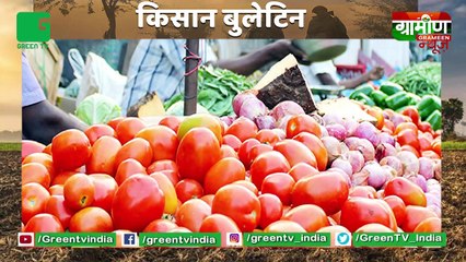 Good News For Banana Farmers : खाड़ी देशों से ऑर्डर मिलने पर केला किसानों में खुशी | Kisan Bulletin : Grameen News