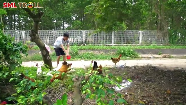 Must watch New Funny Videos Comedy Videos 2020 Banana Troll - Episode 1.....ALL IN ONE @