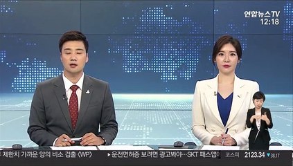 6·25 맞아 참전용사 후손에 '준영구 비자' 발급