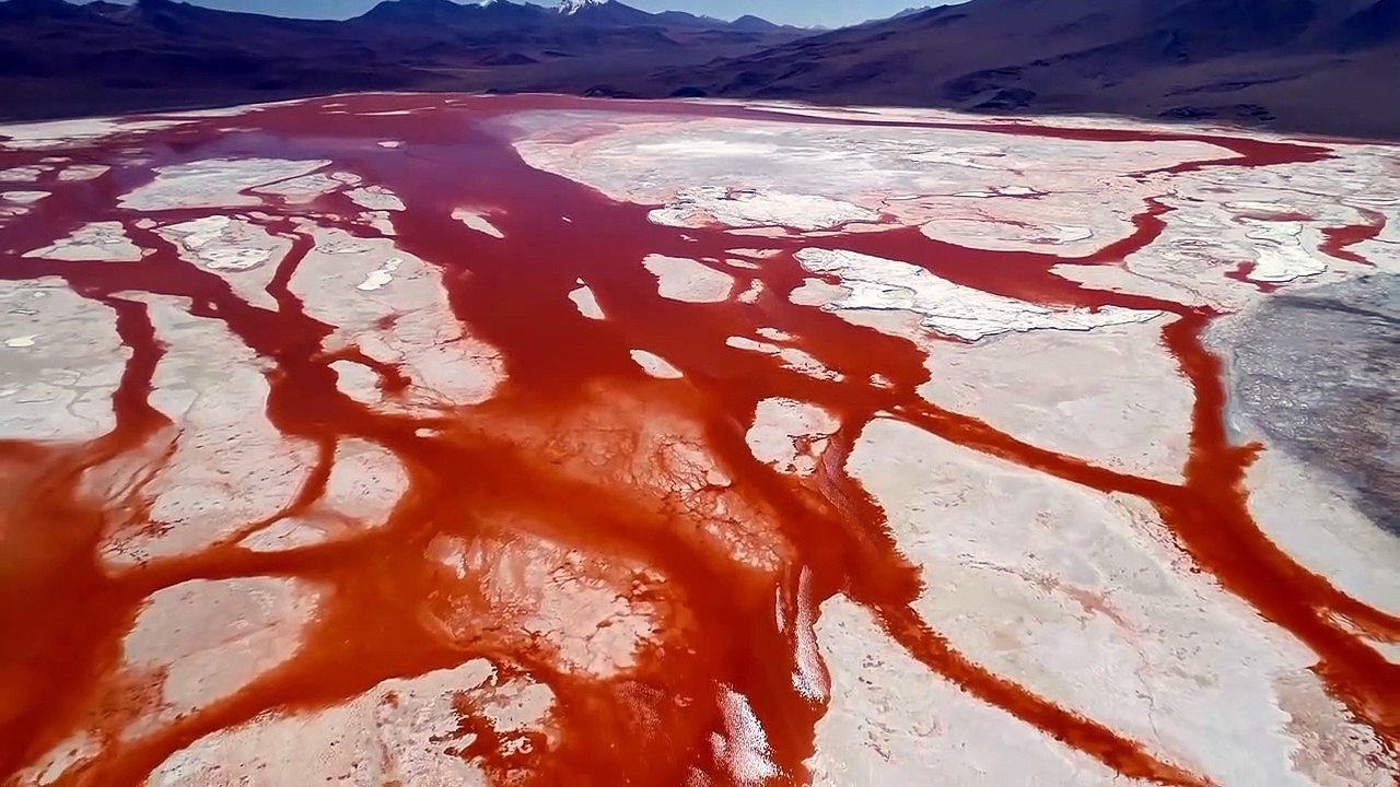 The Andes with Vivid and Beautiful