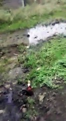 कालापीपल में सड़के खराब, नागरिको ने सौंपा ज्ञापन