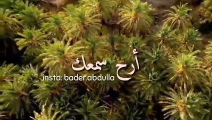 سورة المسد - سعيد الخطيب