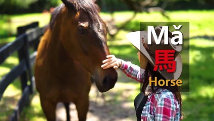 The Tones of "Ma" | Newbie Lesson | ChinesePod