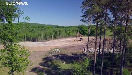 "Absolut einzigartig": Archäologen finden gut erhaltenes Steinzeitdorf in Schweden