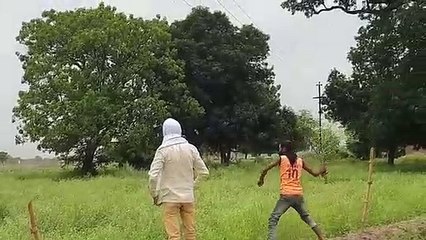 टीड्डियों का प्रकोप देख किसानों के होश उड़े