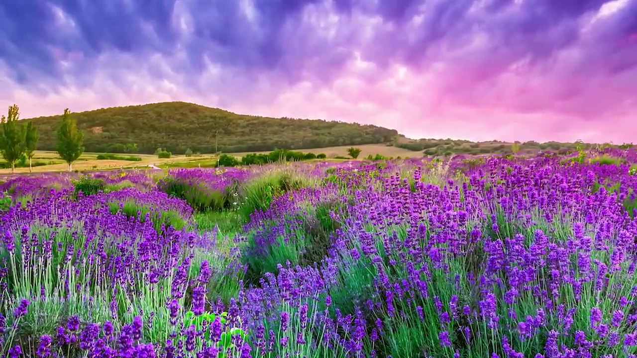 30 Minute Deep Sleep Music, Sleep Meditation, Calm Music, Relaxing Music, Fall Asleep, Relax, ☯3590B