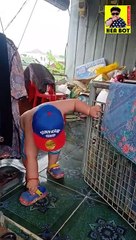 In the morning, baby biking