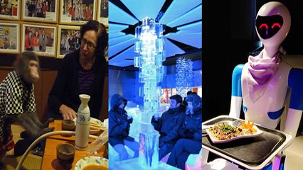 Weird Restaurants In world | दुनिया के 5 अजीबोगरीब Restaurants | Unique Restaurants | Boldsky