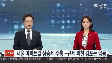 서울 아파트값 상승세 주춤…규제 피한 김포는 급등