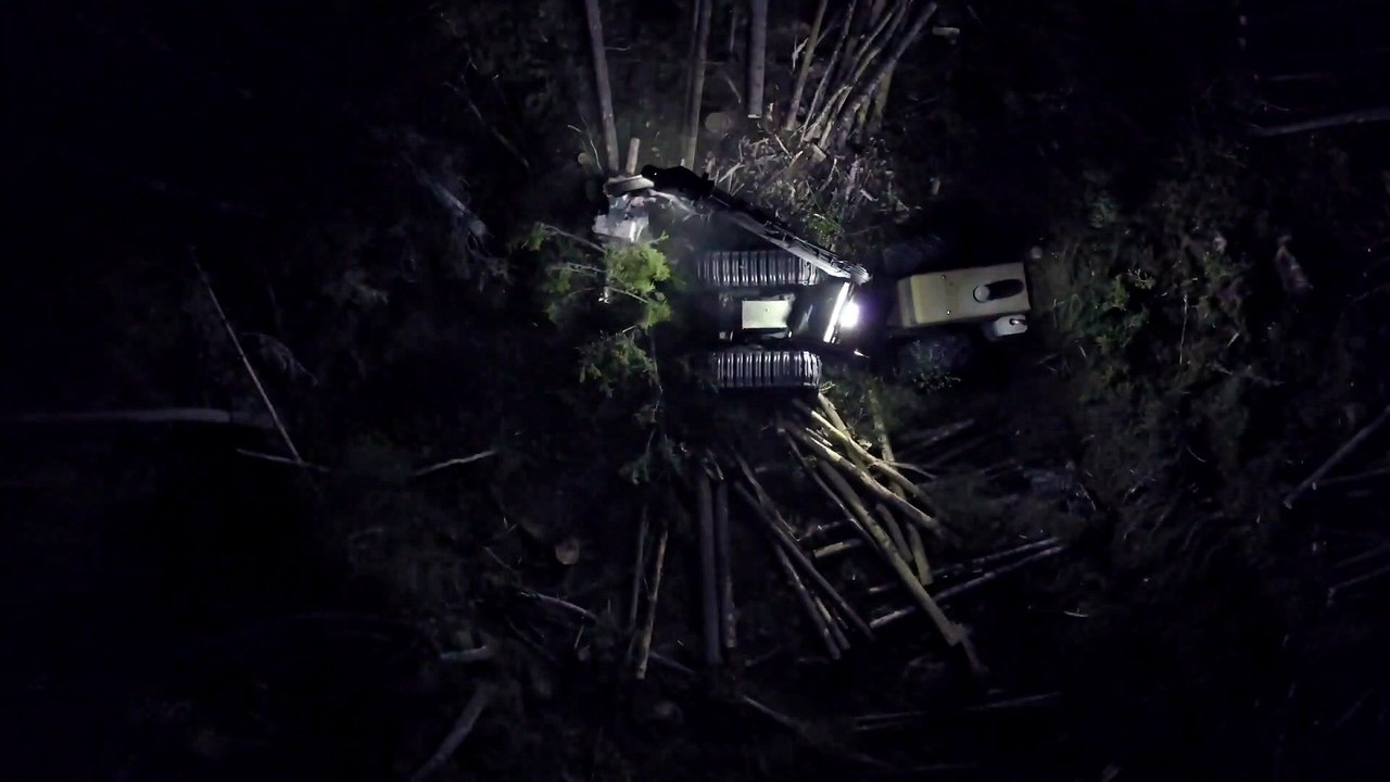 Werewolf The Apocalypse - Heart of the Forest   OFFICIAL TEASER TRAILER