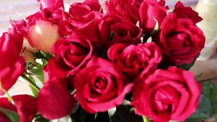 Bangladesh Rose Flower