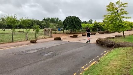 George Spooner, ZSL Zookeeper, running a marathon around Whipsande Zoo. (C) ZSL