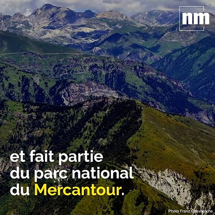 Cette vidéo d'une minute va vous donner envie de (re)découvrir la vallée de la Vésubie