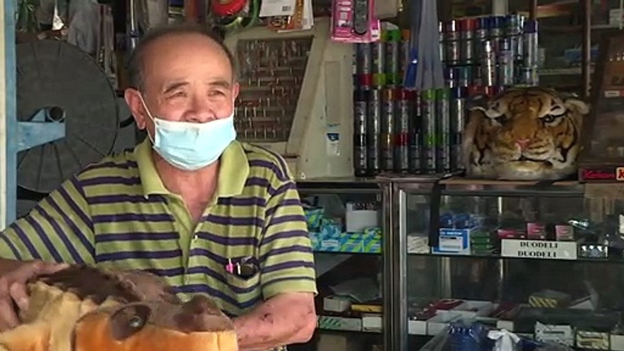 En Thaïlande, "la ville des singes" tente de reprendre le contrôle sur ses macaques