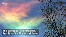 Super Rare ‘Fire Rainbows’ Stun During Summer