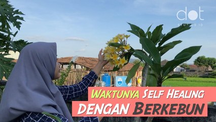 Berkebun Bisa Bantu Meredakan Stres, Kok Bisa?