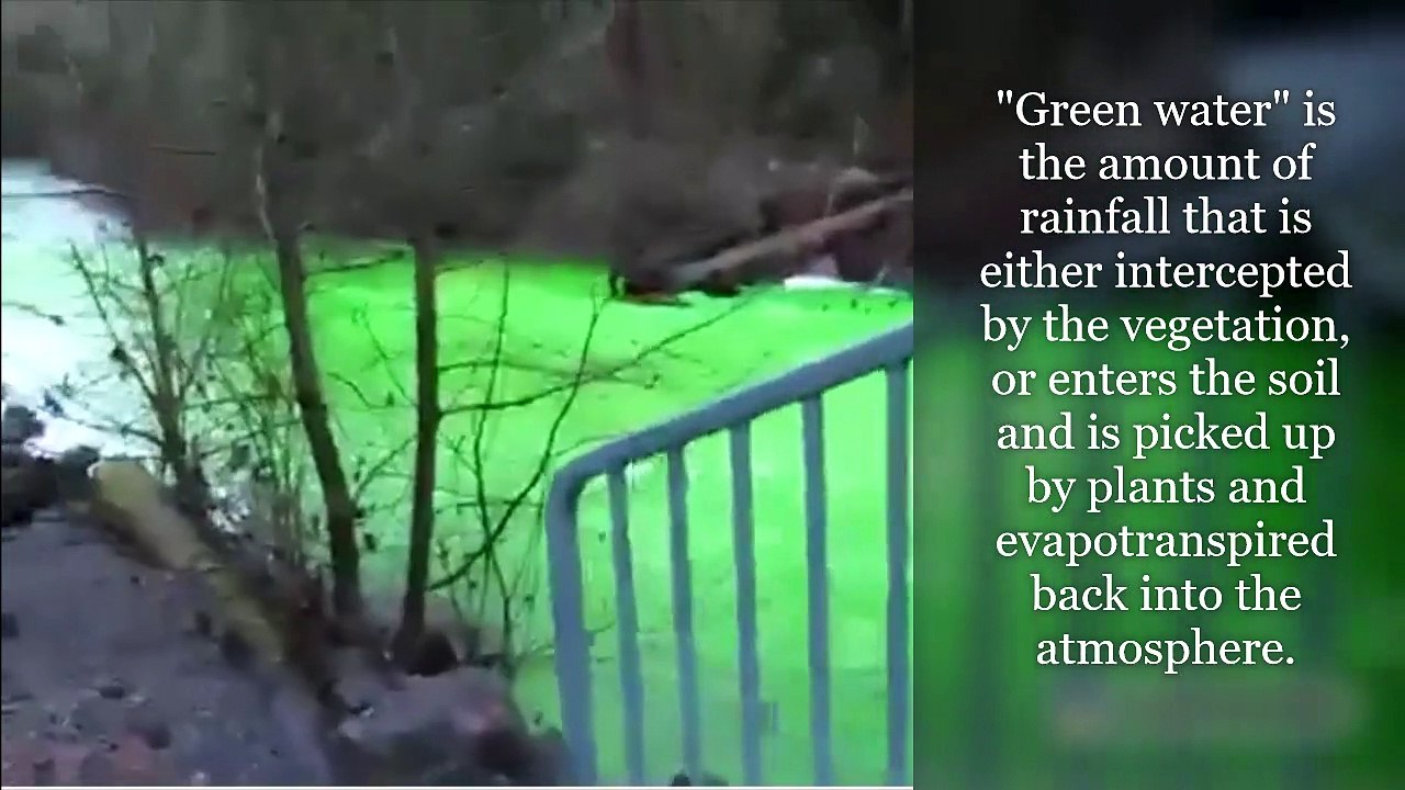 Green Wadi