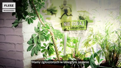 Nowy groźniejszy kleszcz dotarł do Polski