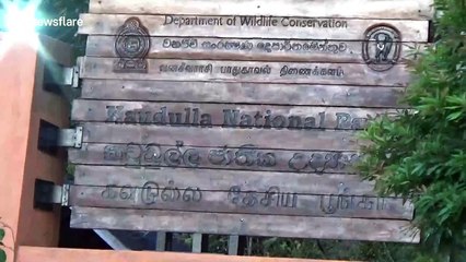 Sri Lanka national park opens to visitors after months of inactivity
