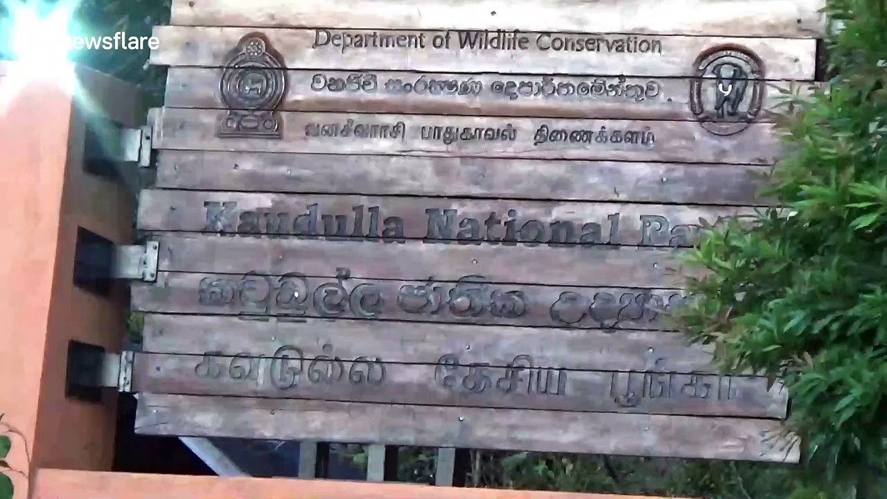 Sri Lanka national park opens to visitors after months of inactivity
