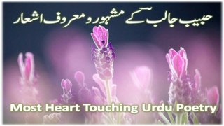 Best Urdu Poetry | Best Shayari | Urdu Shayari | Urdu Poetry | Shayari | Poetry In Urdu | Urdu Ghazal | Urdu Poetry Shayari With Ibn e Ata | Ibn e Ata | Urdu Poetry | urdu Shayari | ibne ata