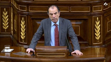 Grupo Mixto votará a favor del real decreto de nueva normalidad