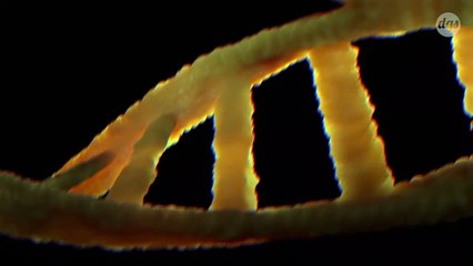 La plus grande étude génétique au monde sur le syndrome de fatigue chronique va bientôt être lancée