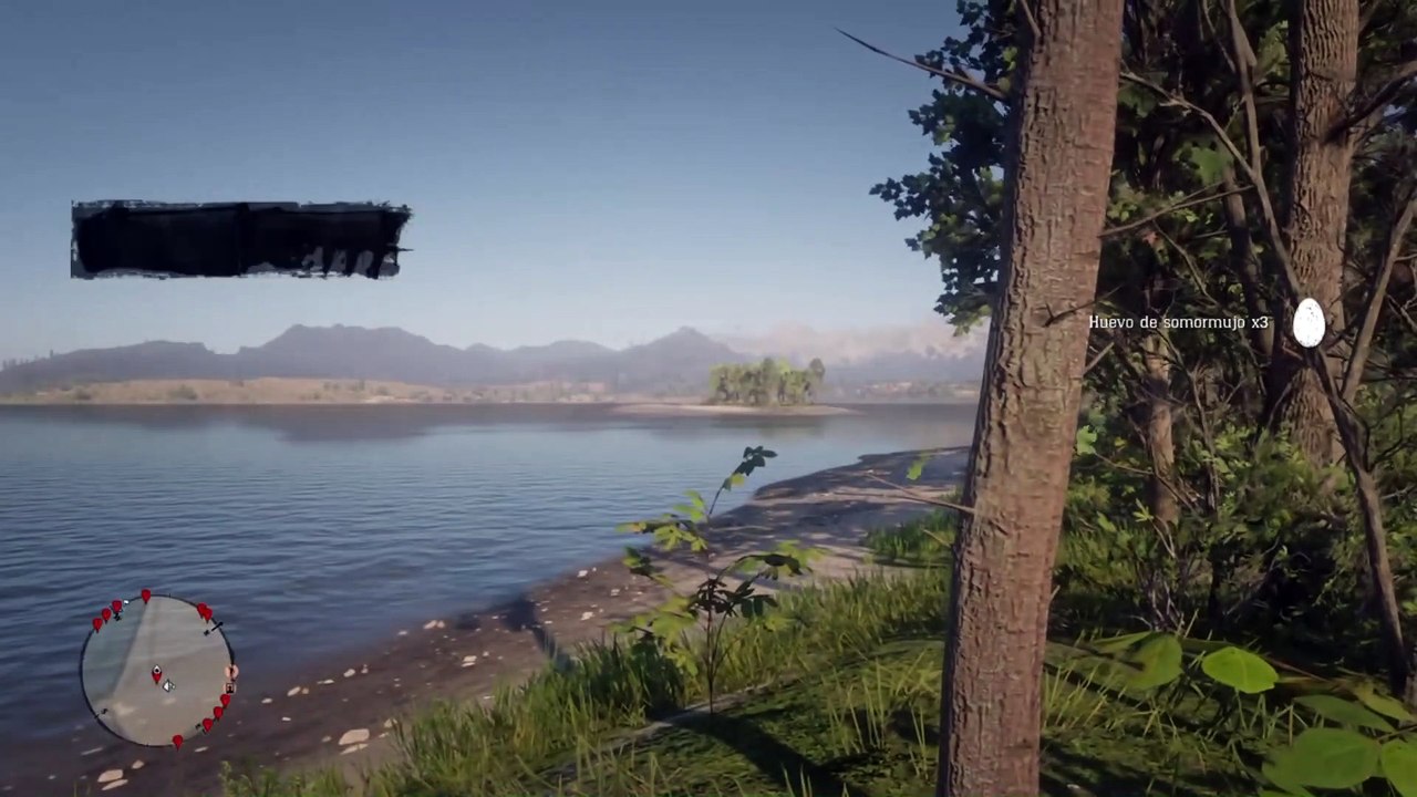 Red Dead Redemption 2 Online Localización de Objetos Colección Exótica
