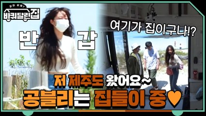 공블리 효진 등장! 제주도로 집들이 왔어요♥