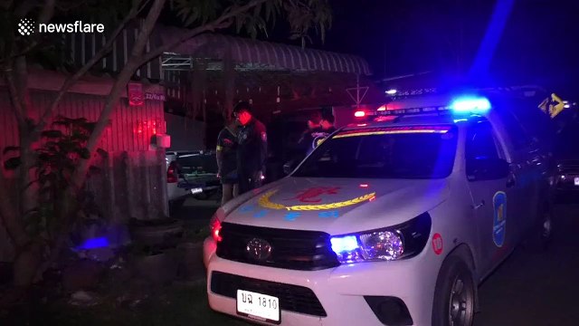 Landlord checking property after tenant left finds abandoned pet CROCODILE