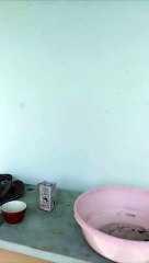 Bathroom Door Blocked by Snake