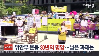 위안부 운동, 30년의 명암…남은 과제는