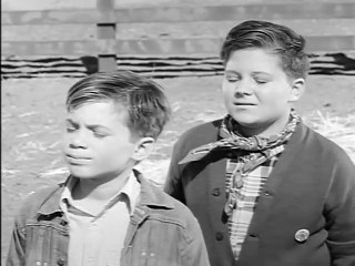 Fury - S1E26: The Baby (Family,Western,TV Series)