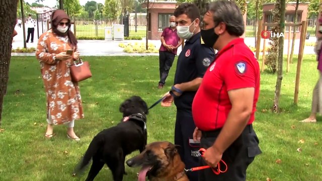 İtfaiye ekiplerinin sahiplenerek eğittiği arama kurtarma köpekleri programda boy gösterdi