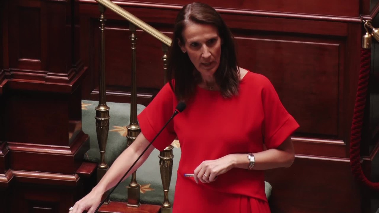 Que ceux qui affirment ici que les rassemblements festifs sont la conséquence de consignes qui manquent de clarté   aillent expliquer cela à ceux qui respectent les règles sans difficulté (Sophie Wilmès)