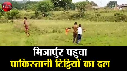 मिर्ज़ापुर पहुचा पाकिस्तानी टिड्डियों का दल