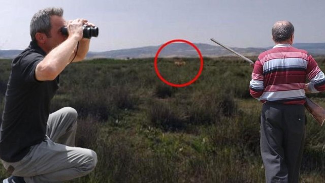 Çok konuşulmuştu Vali noktayı koydu: Emareye rastlamadık