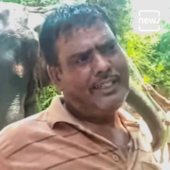 Bihar : Two Elephants Become A Crorepatis